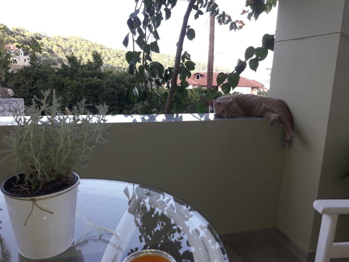 Apartmán Spiti Portokali Epidaurus Exteriér fotografie
